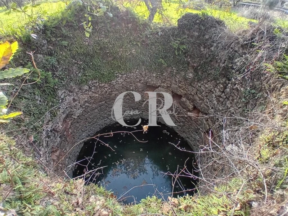 Terreno para Venda em Aguda Foto 5