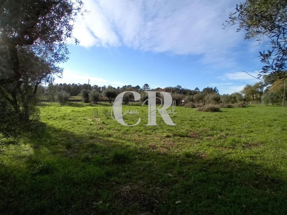 Terreno para Venda em Aguda Foto 2