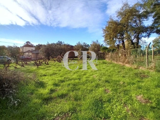 Terreno para Venda em Aguda Foto 12