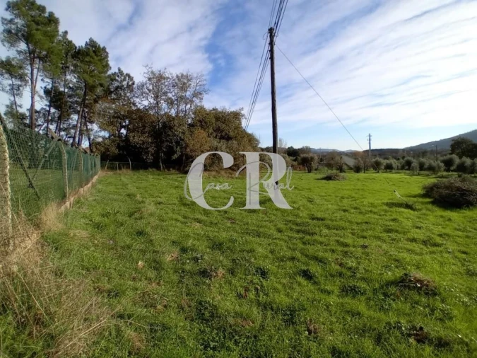 Terreno para Venda em Aguda Foto 9