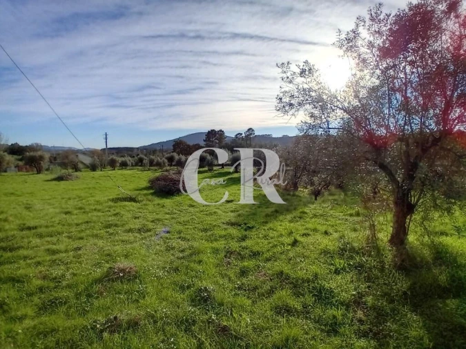 Terreno para Venda em Aguda Foto 11