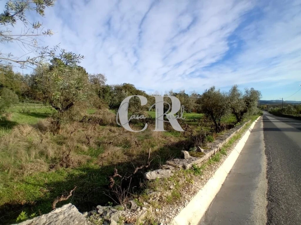 Terreno para Venda em Aguda Foto 13