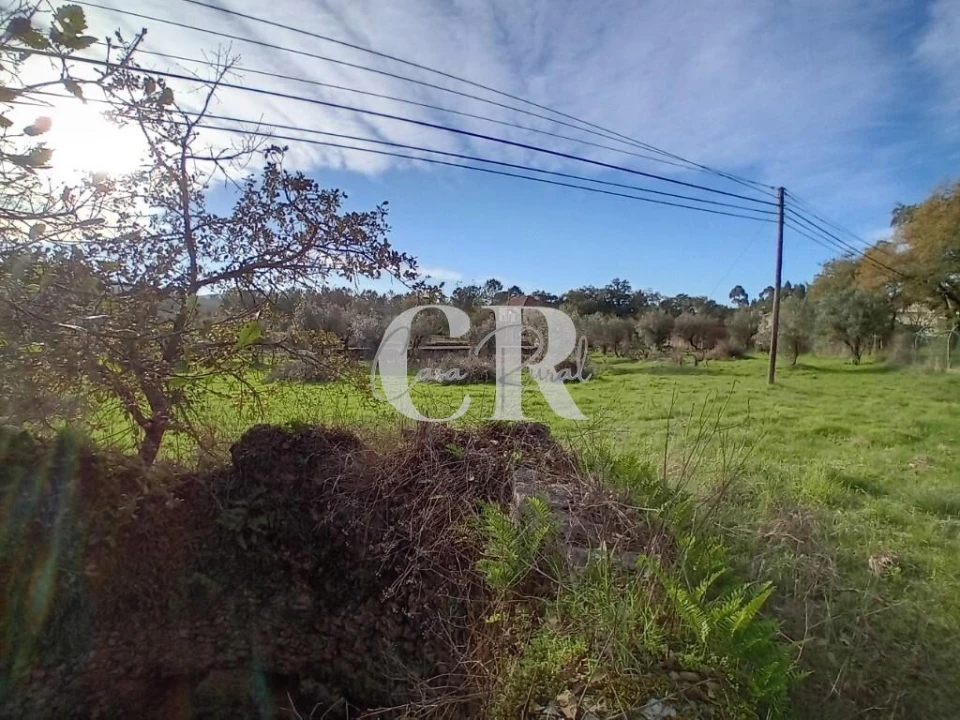 Terreno para Venda em Aguda Foto 7