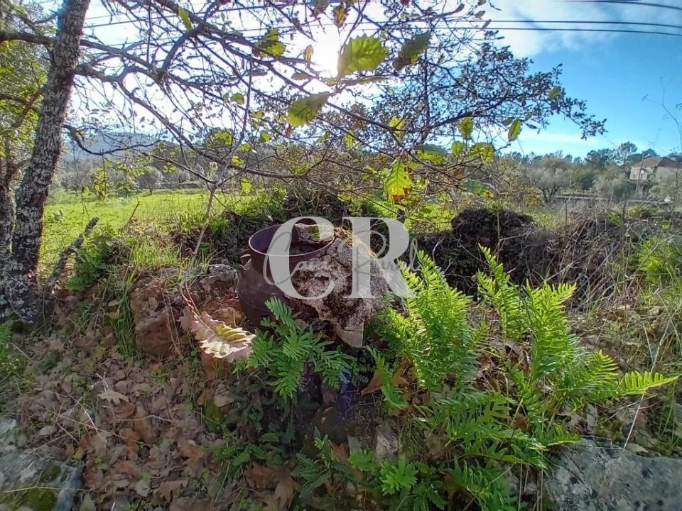 Terreno para Venda em Aguda Foto 6