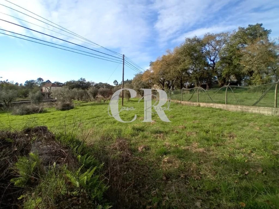 Terreno para Venda em Aguda Foto 8