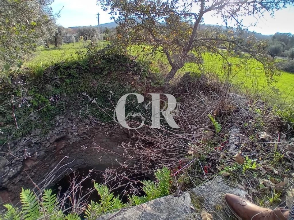 Terreno para Venda em Aguda Foto 4