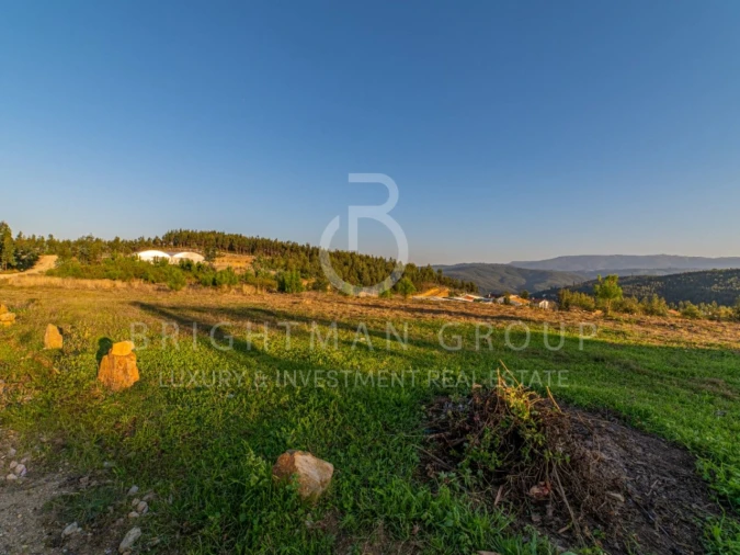 Moradia T4 para Venda em São Miguel do Mato Foto 28