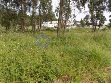 Terreno para Venda em Grijó e Sermonde