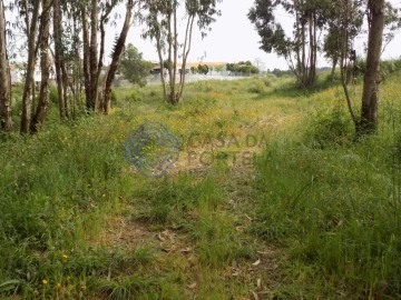 Terreno para Venda em Grijó e Sermonde