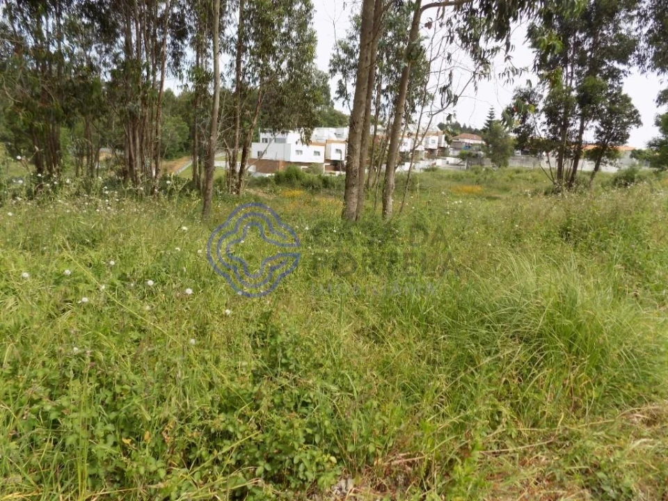 Terreno para Venda em Grijó e Sermonde Foto 14