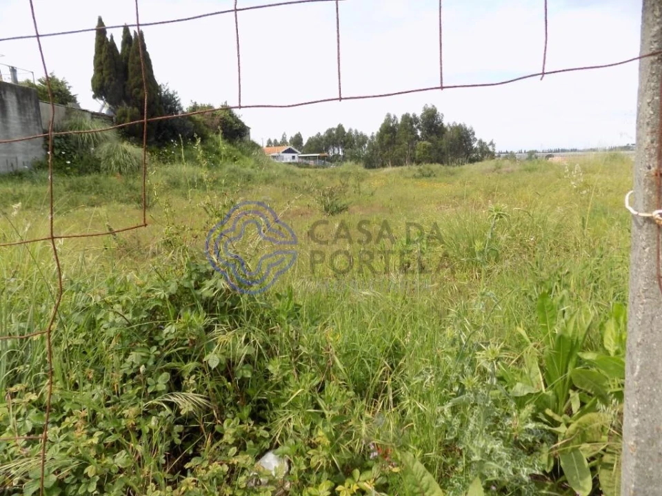 Terreno para Venda em Grijó e Sermonde Foto 7