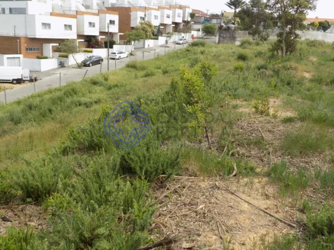 Terreno para Venda em Grijó e Sermonde Foto 20