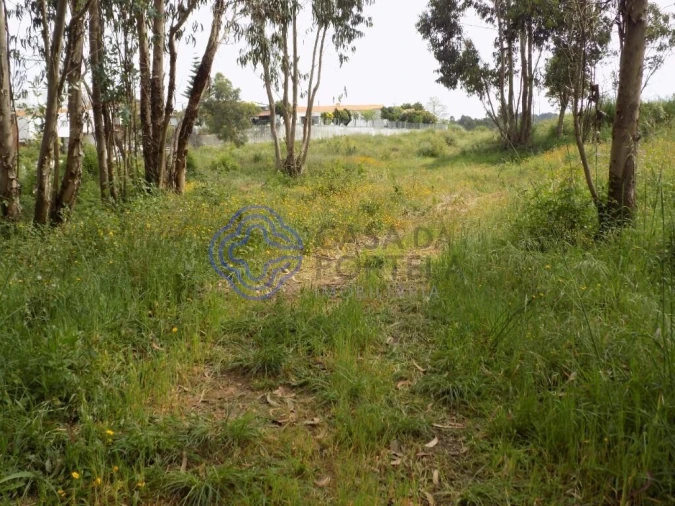 Terreno para Venda em Grijó e Sermonde Foto 17