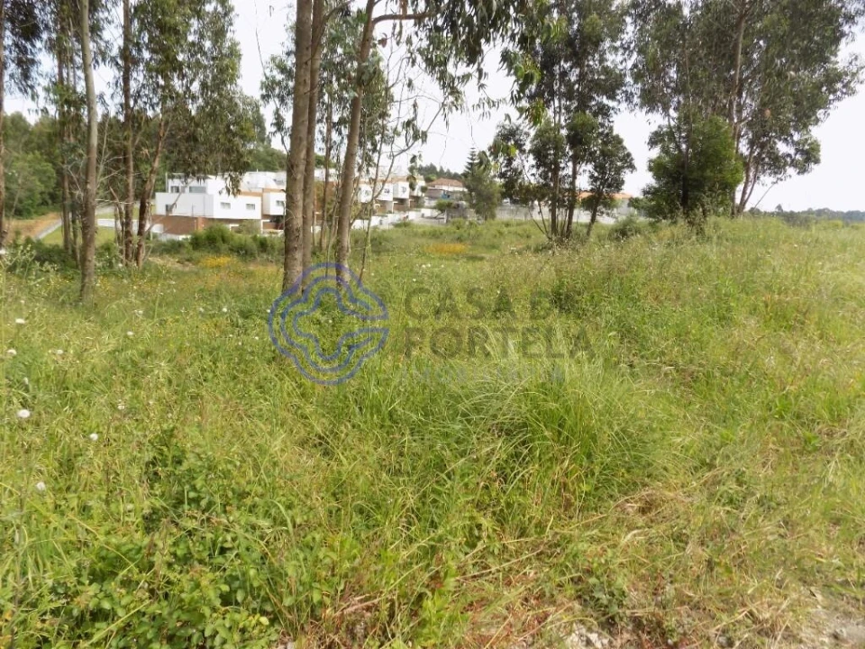 Terreno para Venda em Grijó e Sermonde Foto 15