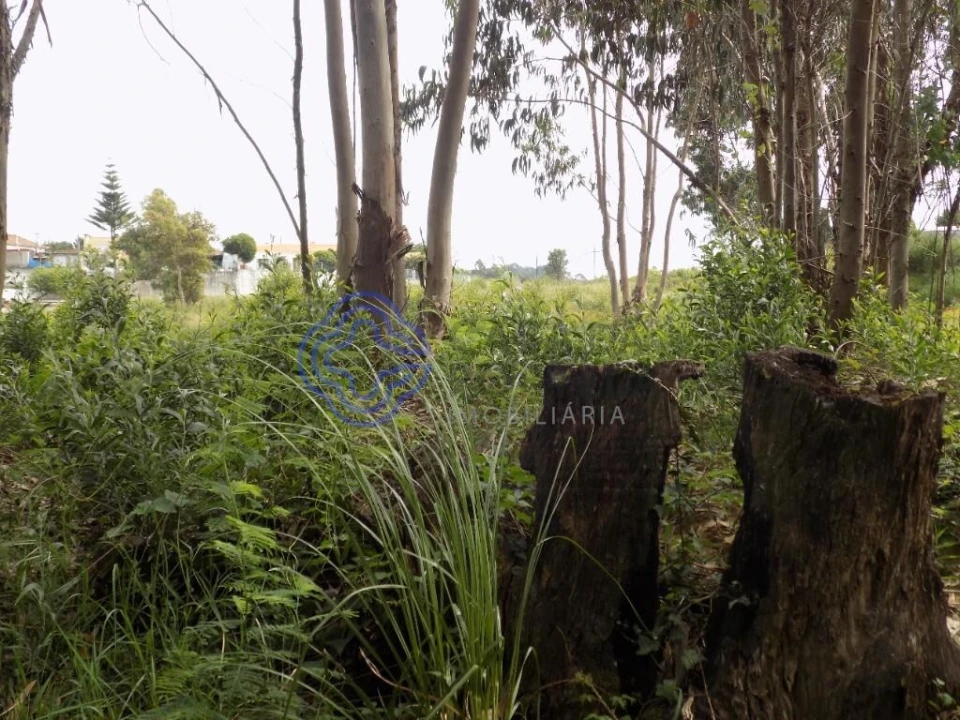Terreno para Venda em Grijó e Sermonde Foto 18