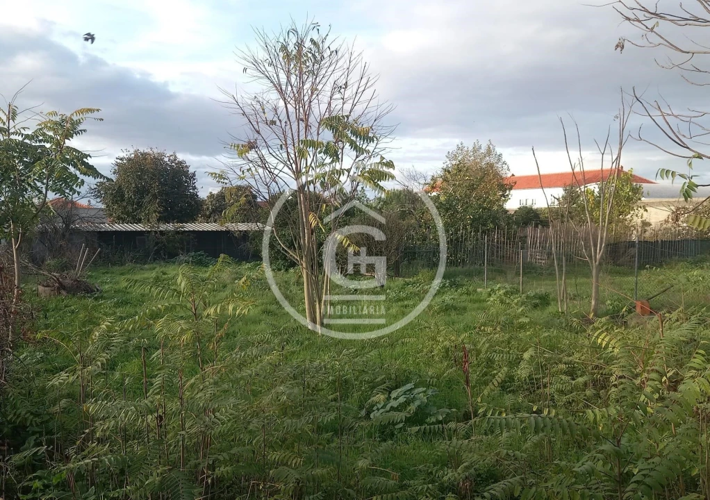 Moradia T4 para Venda em Alpiarça Foto 19