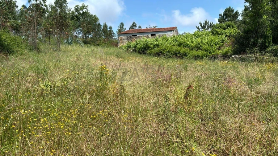 Terreno para Venda em Covilhã e Canhoso Foto 4