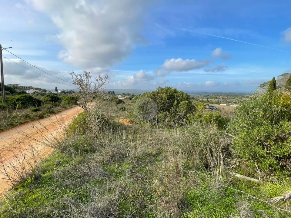 Terreno para Venda em Luz Foto 10