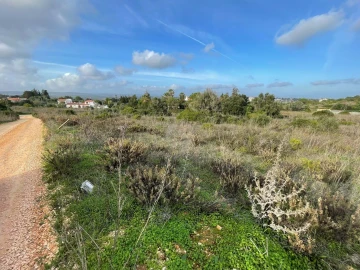 Terreno para Venda em Luz