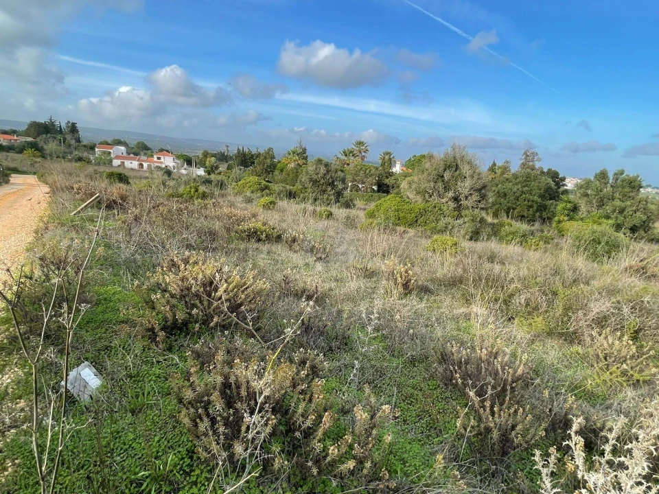 Terreno para Venda em Luz Foto 4