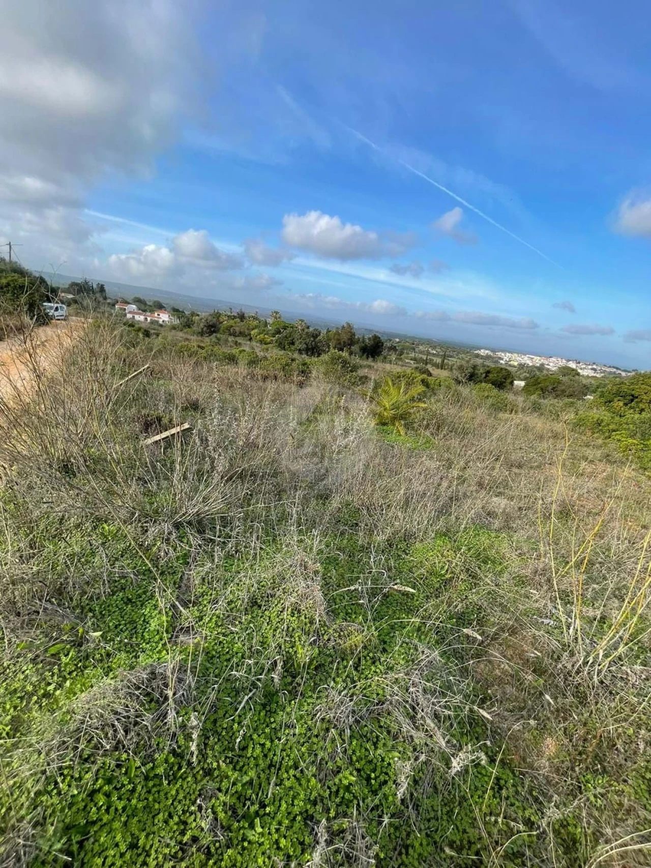 Terreno para Venda em Luz Foto 5