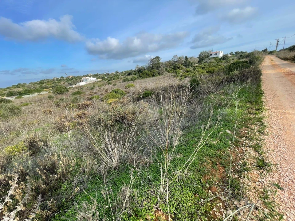 Terreno para Venda em Luz Foto 3