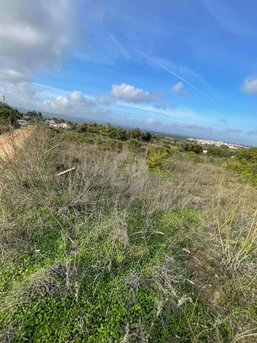 Terreno para Venda em Luz Foto 5