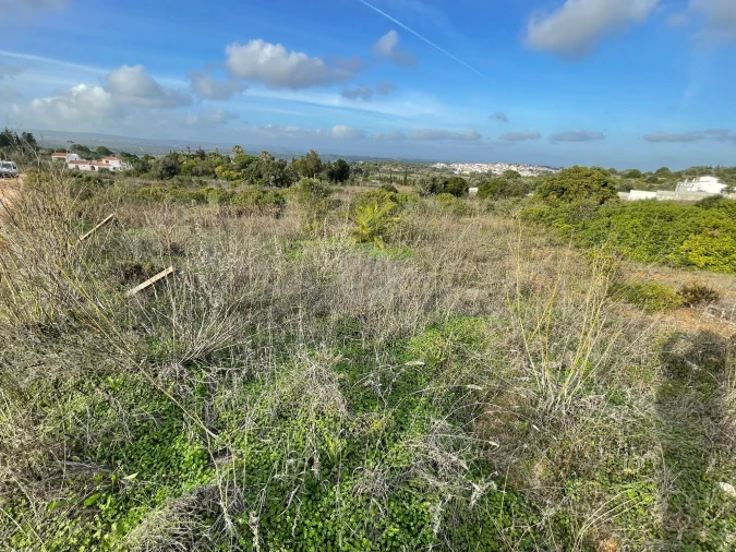 Terreno para Venda em Luz Foto 8