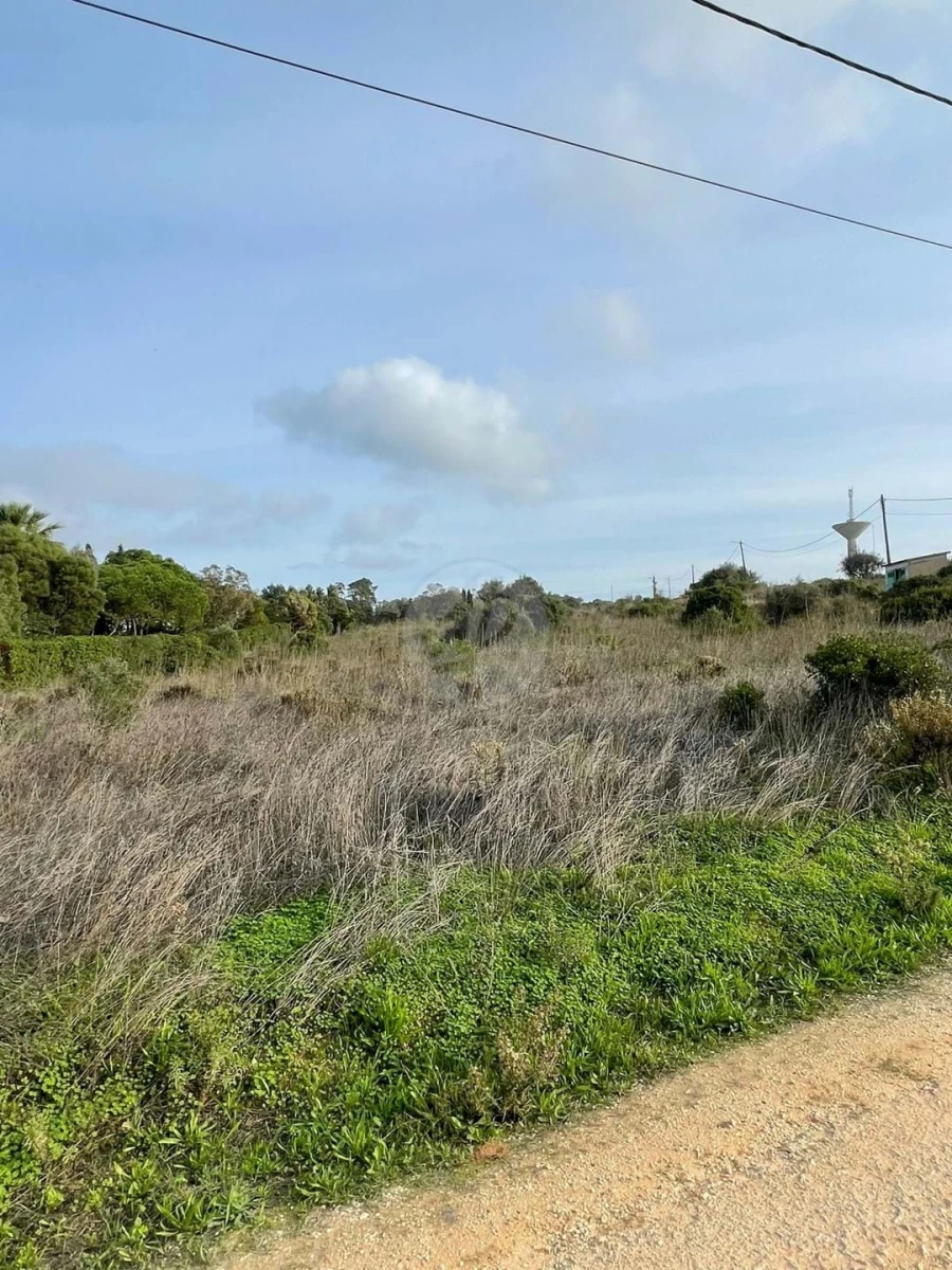 Terreno para Venda em Luz Foto 2