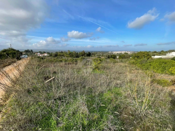 Terreno para Venda em Luz Foto 7