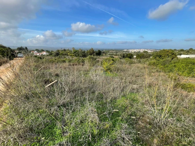 Terreno para Venda em Luz Foto 9