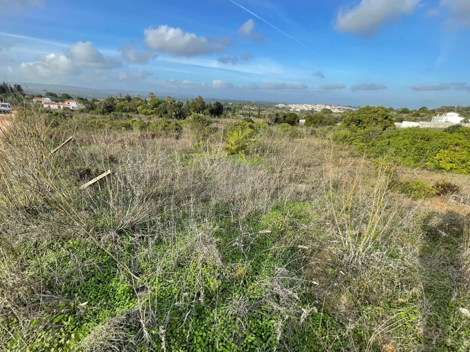 Terreno para Venda em Luz Foto 8