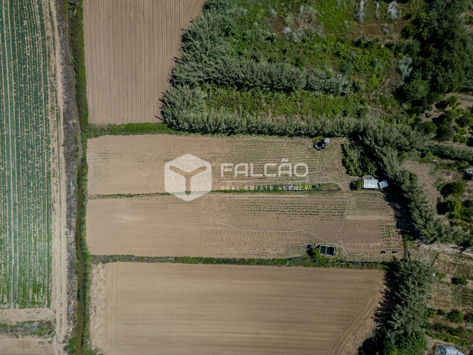 Terreno para Venda em Atouguia da Baleia Foto 44