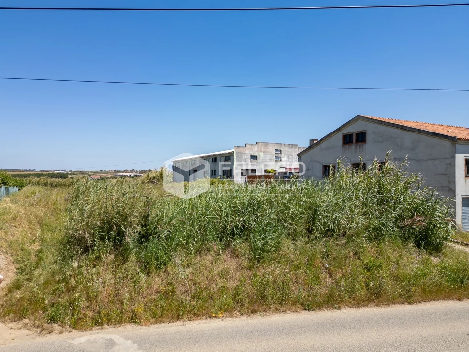 Terreno para Venda em Atouguia da Baleia Foto 13