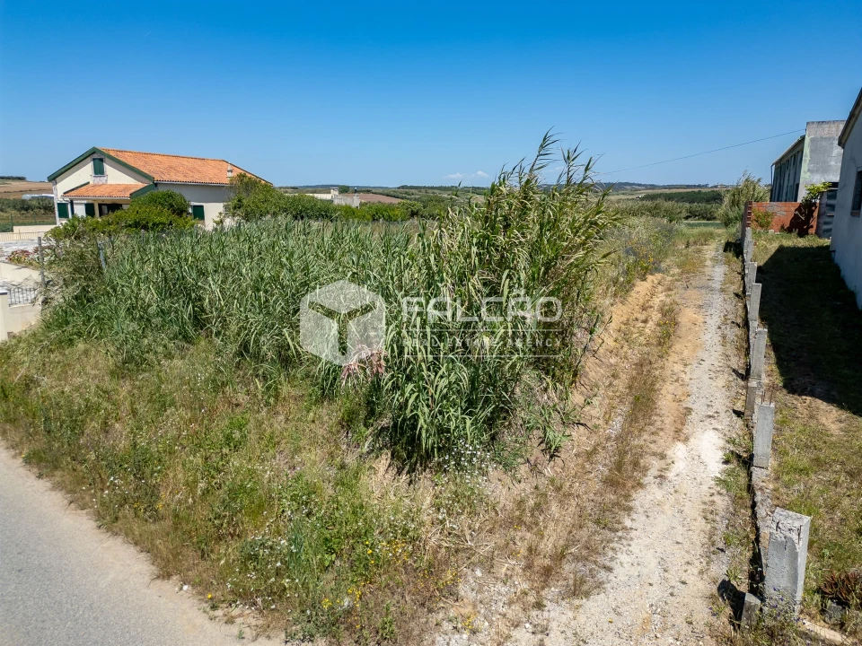 Terreno para Venda em Atouguia da Baleia Foto 16