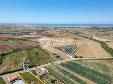 Terreno para Venda em Atouguia da Baleia
