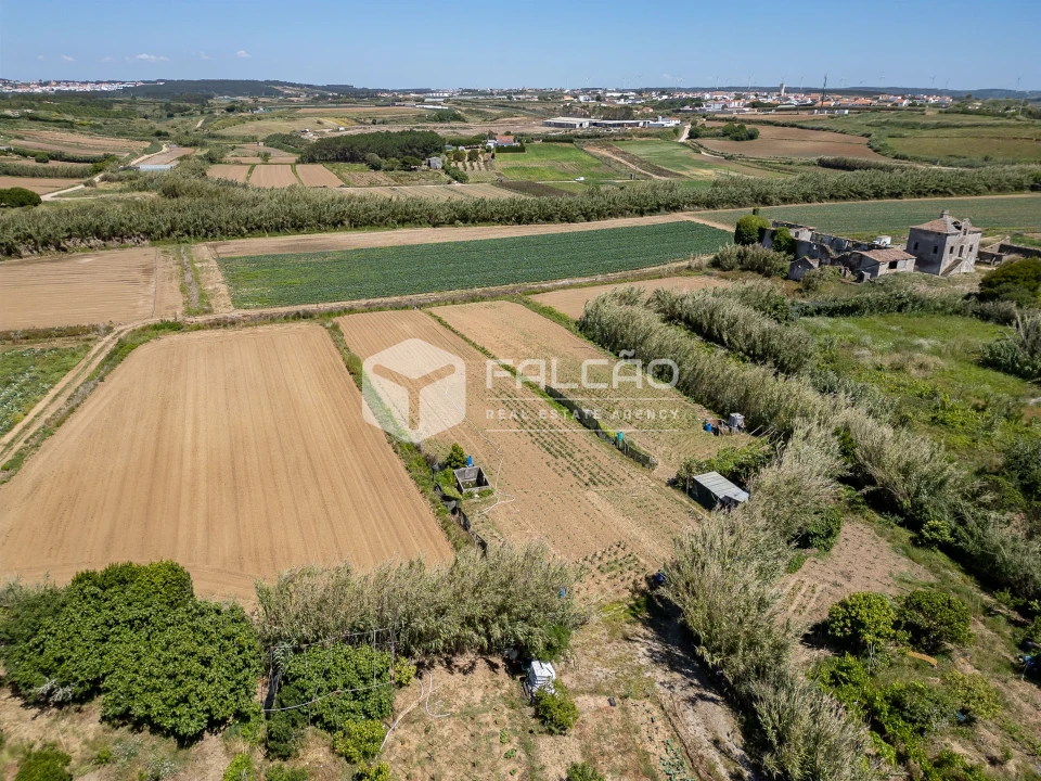 Terreno para Venda em Atouguia da Baleia Foto 40