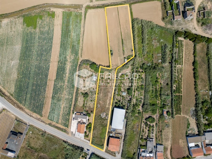 Terreno para Venda em Atouguia da Baleia Foto 28