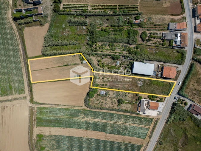 Terreno para Venda em Atouguia da Baleia