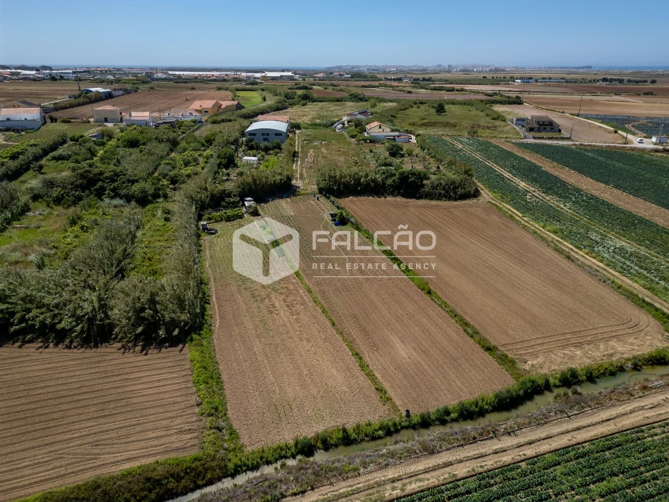Terreno para Venda em Atouguia da Baleia Foto 42
