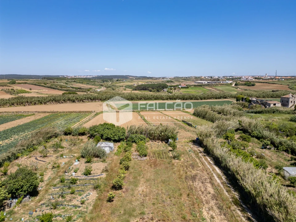 Terreno para Venda em Atouguia da Baleia Foto 33