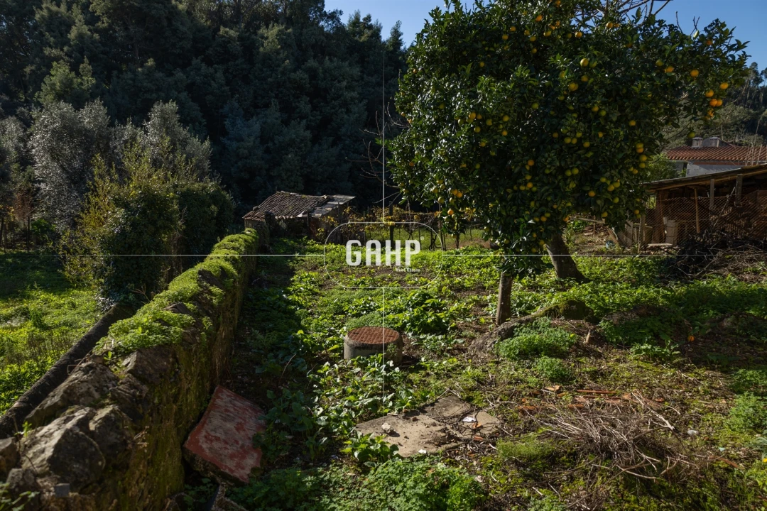 Moradia T3 para Venda em Lorvão Foto 46