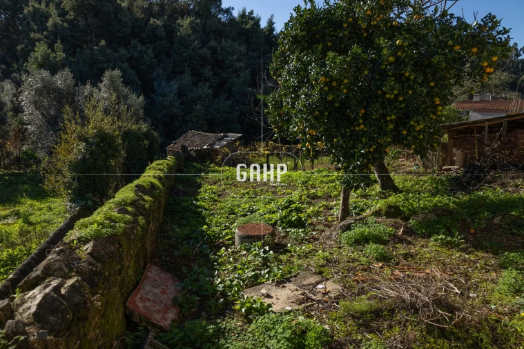 Moradia T3 para Venda em Lorvão Foto 46