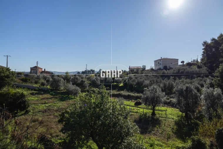 Moradia T3 para Venda em Lorvão Foto 49