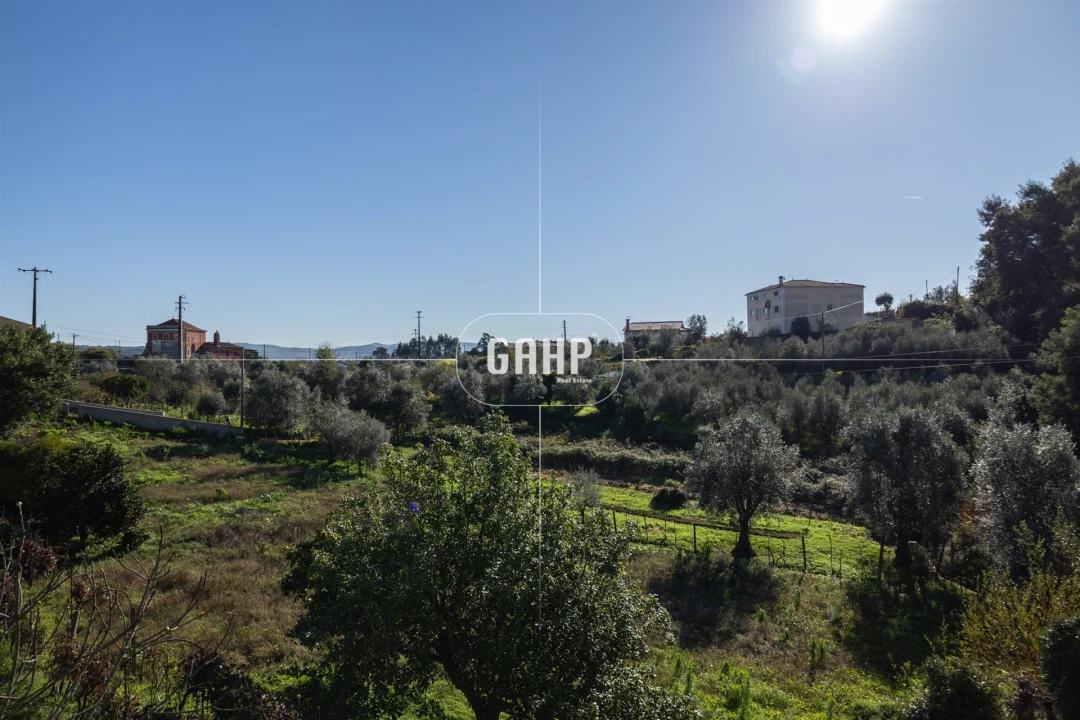 Moradia T3 para Venda em Lorvão Foto 49