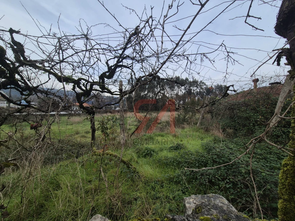 Quinta T0 para Venda em Meixomil Foto 7