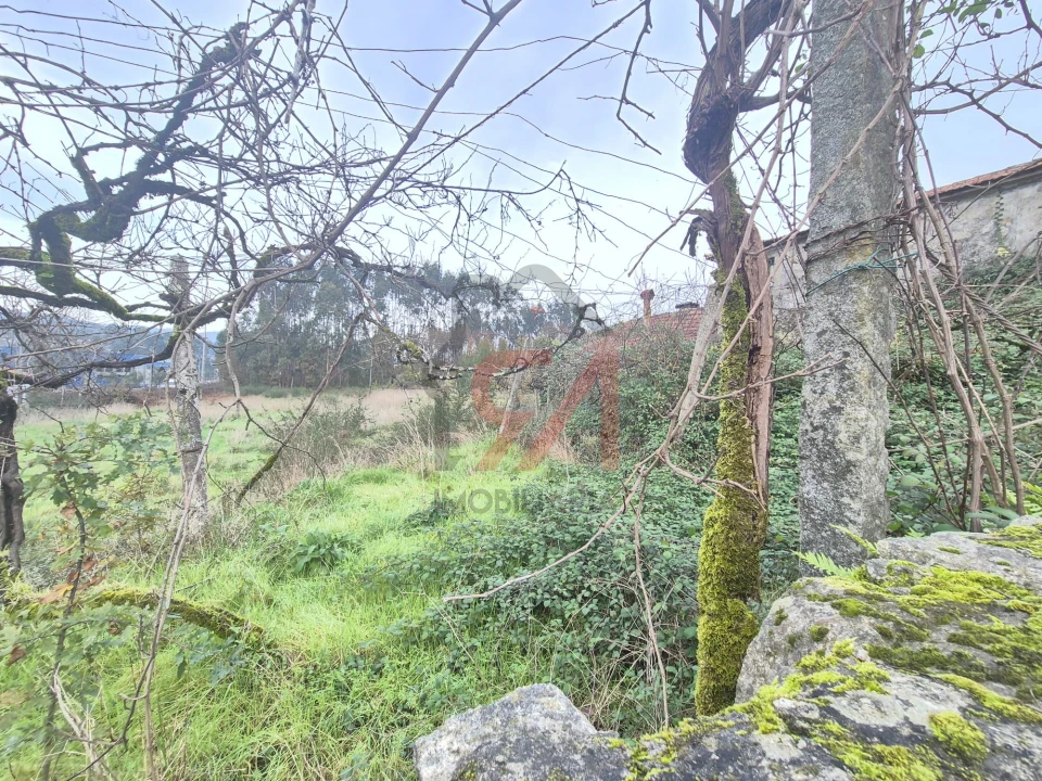 Quinta T0 para Venda em Meixomil Foto 8