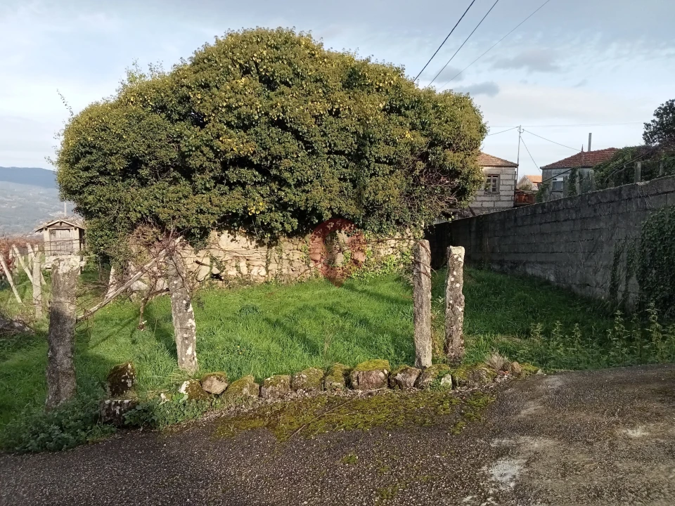 Moradia T0 para Venda em São Paio Foto 3