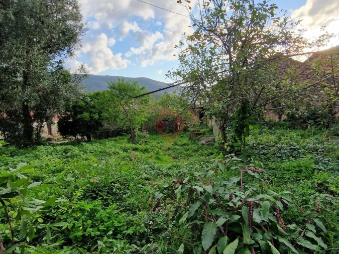 Moradia T2 para Venda em Alvaredo Foto 7