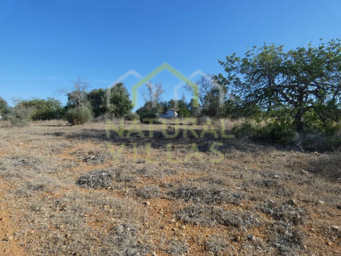 Terreno Misto para Venda em Faro (Sé e São Pedro) Foto 2